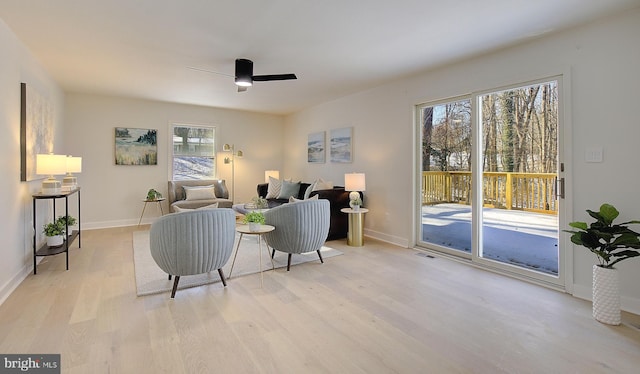 living room featuring ceiling fan and light hardwood / wood-style flooring