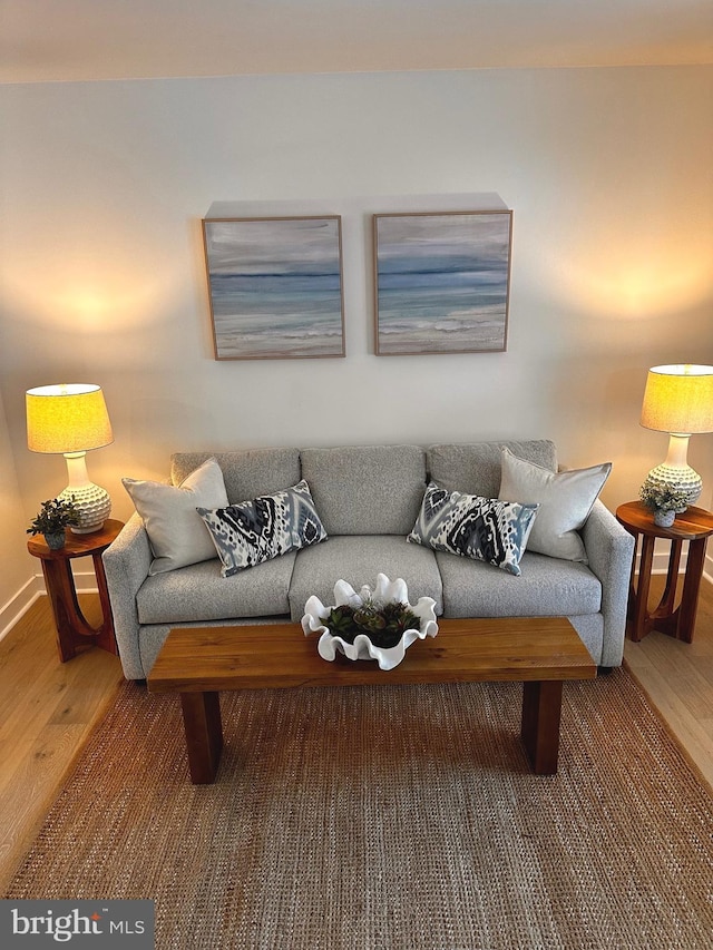 living room featuring hardwood / wood-style floors