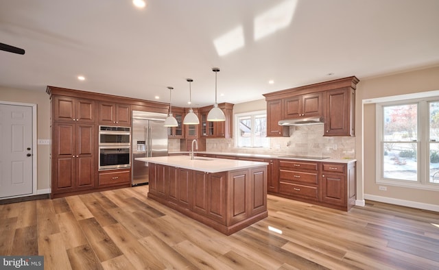 kitchen featuring stainless steel appliances, hanging light fixtures, a healthy amount of sunlight, and an island with sink