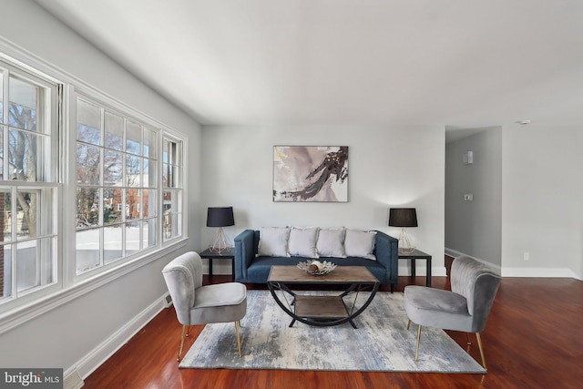 living room with dark wood-type flooring