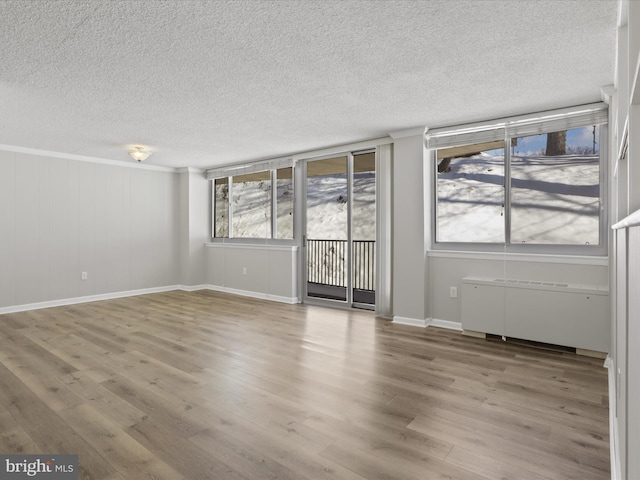 unfurnished room featuring light hardwood / wood-style floors, a textured ceiling, and a healthy amount of sunlight