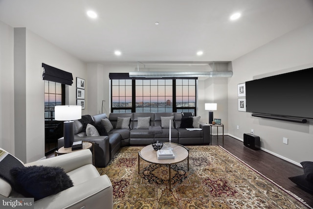 living room featuring wood-type flooring