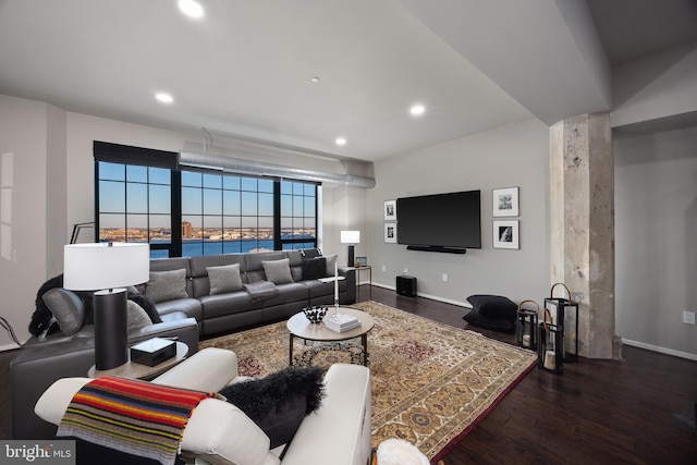 living room featuring wood-type flooring