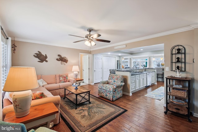 living room featuring sink, hardwood / wood-style flooring, ceiling fan, and crown molding