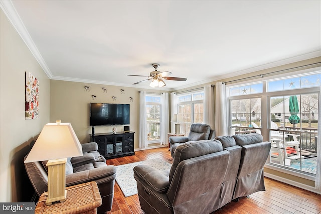 living room with ceiling fan, light hardwood / wood-style flooring, and crown molding