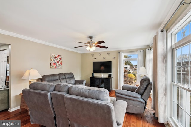 living room with crown molding, ceiling fan, and dark hardwood / wood-style flooring