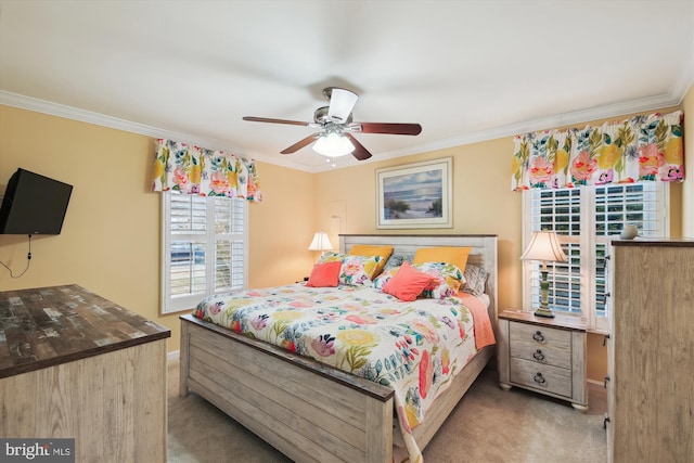 carpeted bedroom featuring ceiling fan and crown molding