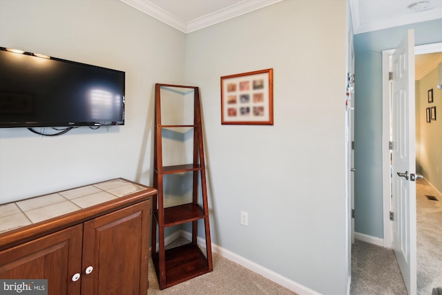 interior space with ornamental molding and light colored carpet