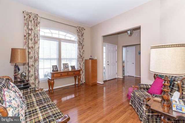 living room with hardwood / wood-style floors