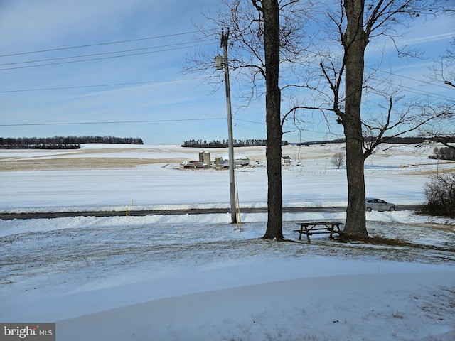 view of yard layered in snow