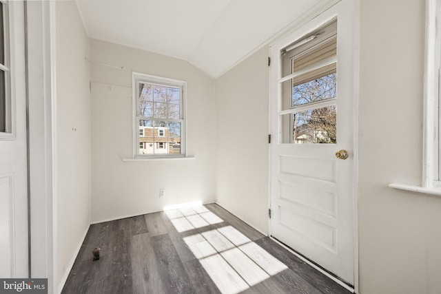 entryway featuring dark hardwood / wood-style flooring and lofted ceiling