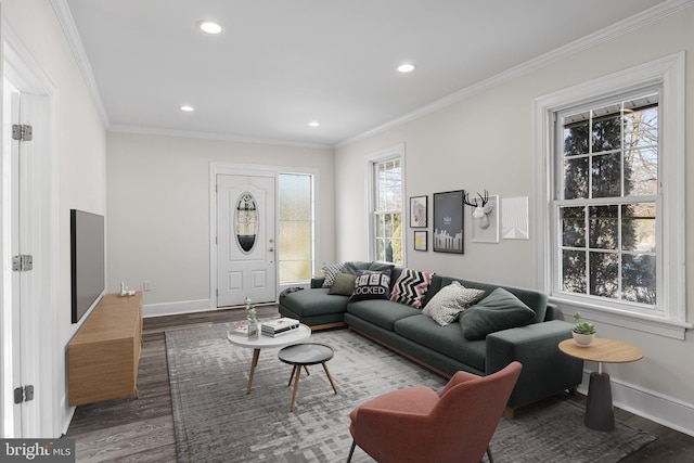 living room featuring crown molding and dark wood-type flooring