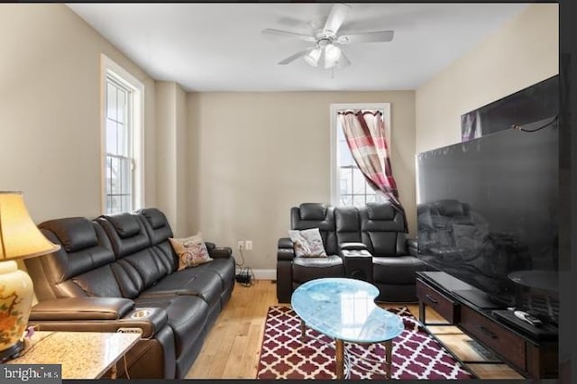 living room featuring ceiling fan and light hardwood / wood-style flooring