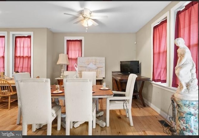 dining area with ceiling fan and hardwood / wood-style floors