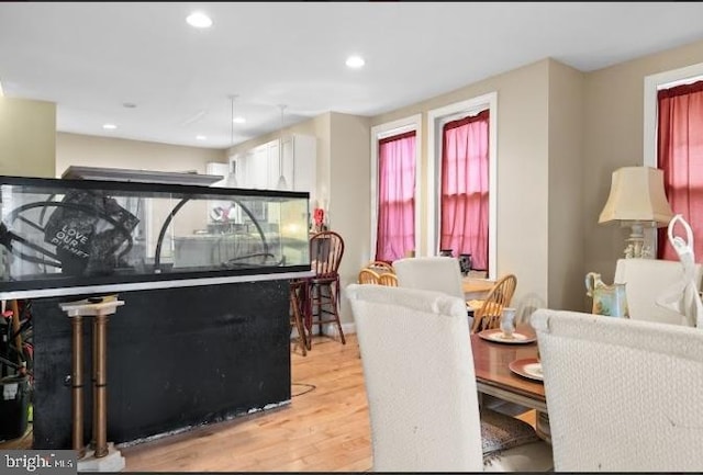 dining room with light hardwood / wood-style flooring