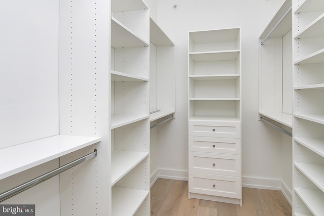 spacious closet with light hardwood / wood-style flooring