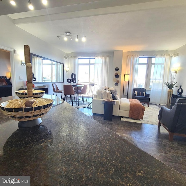 living room featuring a wealth of natural light