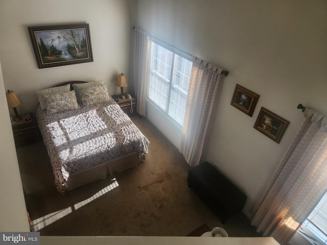 view of carpeted bedroom