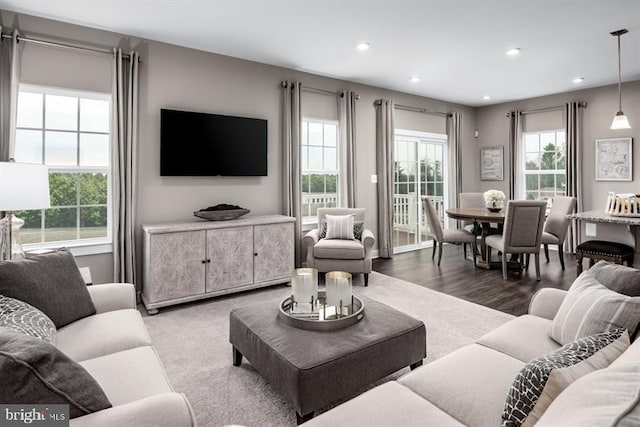 living room with dark hardwood / wood-style flooring