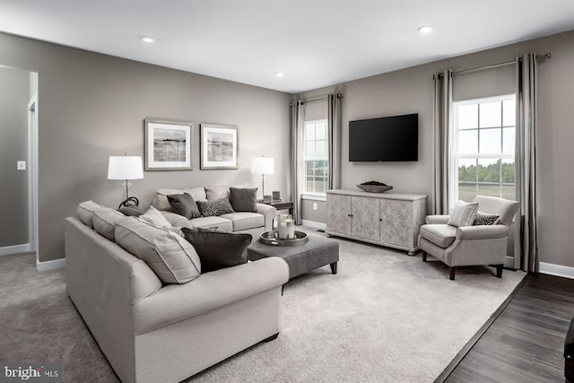 living room with dark wood-type flooring and a healthy amount of sunlight