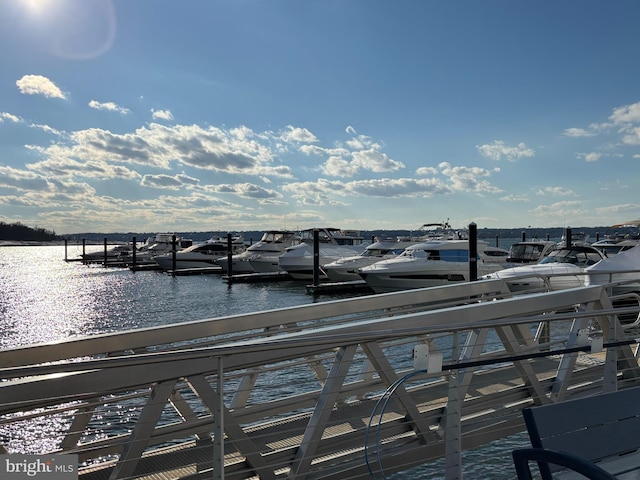 dock area with a water view