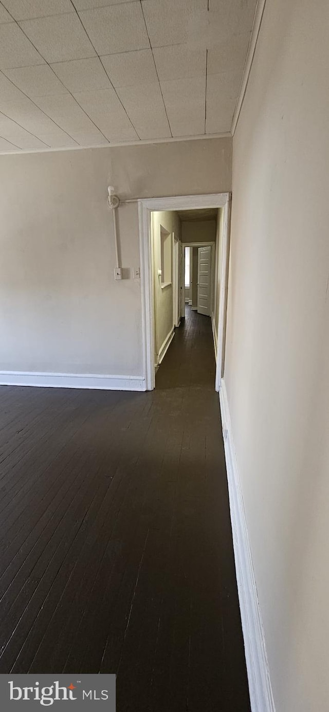 hall featuring dark hardwood / wood-style floors