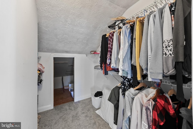 spacious closet featuring carpet flooring