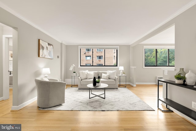 living room with crown molding, light hardwood / wood-style flooring, and radiator heating unit