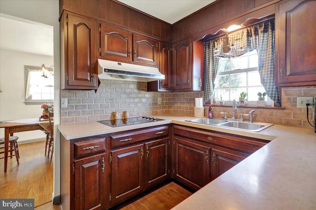 kitchen with black electric stovetop, light hardwood / wood-style flooring, sink, and tasteful backsplash