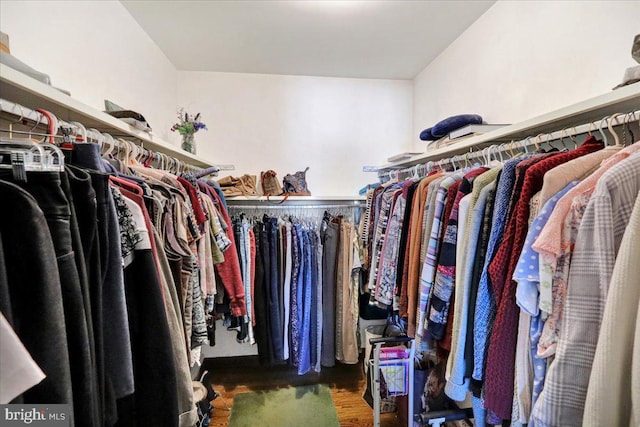 spacious closet featuring dark hardwood / wood-style floors