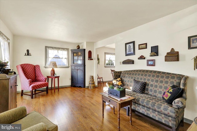 living room featuring hardwood / wood-style flooring