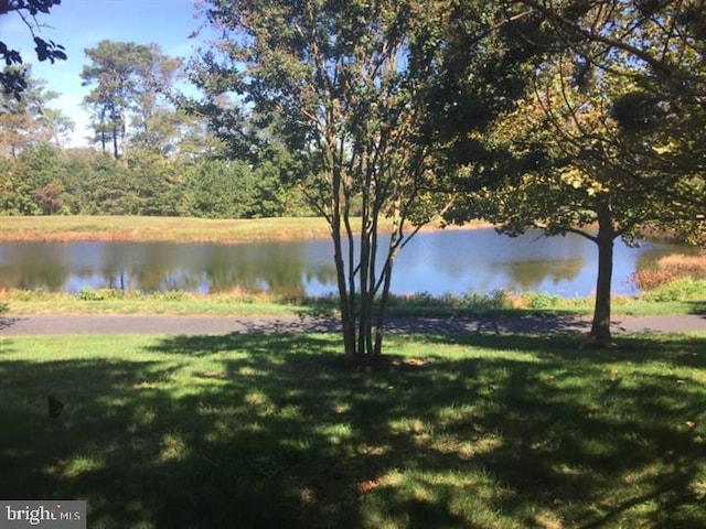 property view of water