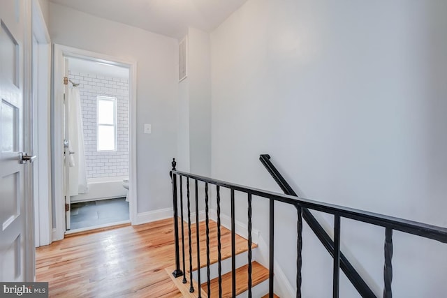 hall featuring light hardwood / wood-style floors