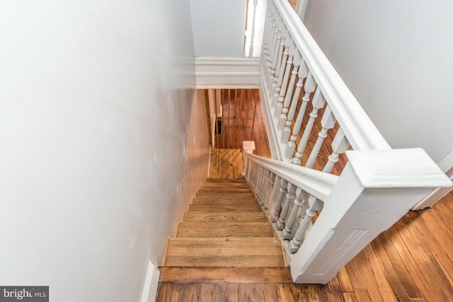 stairs featuring hardwood / wood-style floors