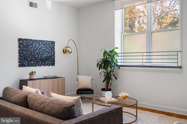 living room with hardwood / wood-style floors