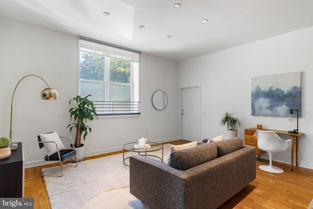 living room featuring light hardwood / wood-style floors