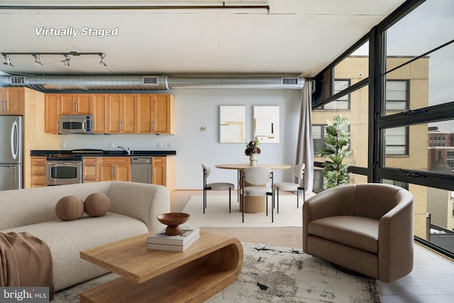 living room featuring light hardwood / wood-style floors and a wall of windows