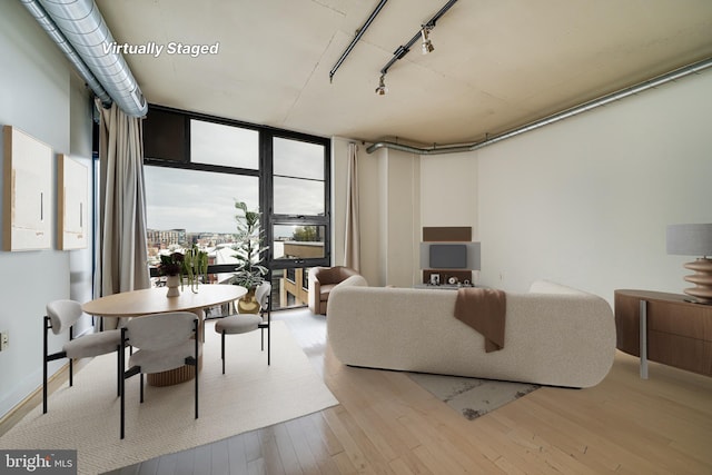 living room featuring light hardwood / wood-style floors and a wall of windows