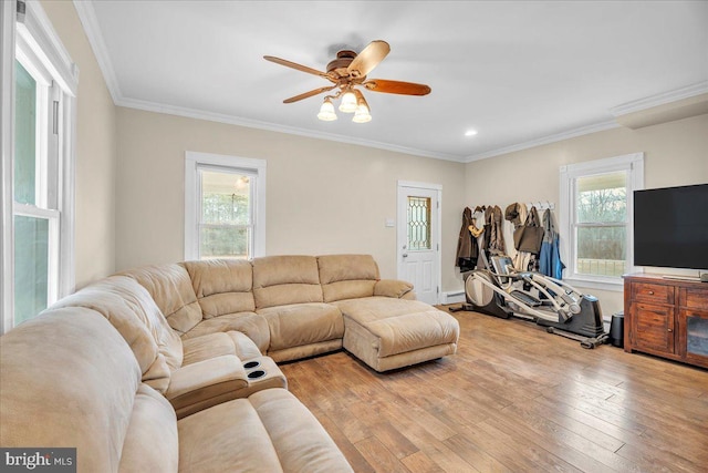 living room featuring light hardwood / wood-style flooring, a wealth of natural light, ornamental molding, and ceiling fan