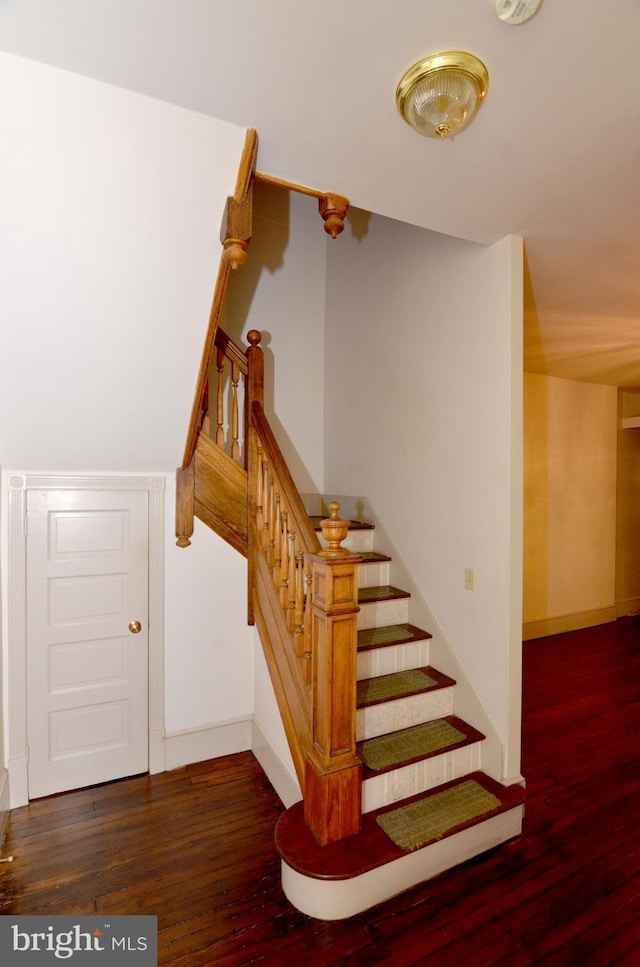 staircase with hardwood / wood-style floors