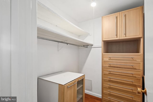 spacious closet with dark wood-type flooring