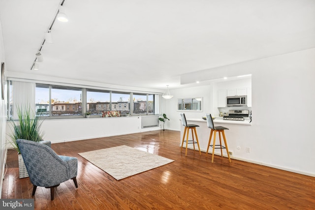 living room featuring hardwood / wood-style flooring