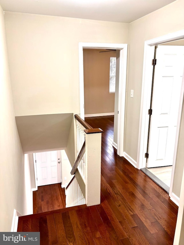 hallway featuring dark hardwood / wood-style floors