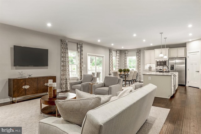 living room featuring dark hardwood / wood-style floors and sink