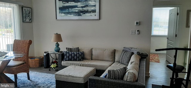 living room with wood-type flooring