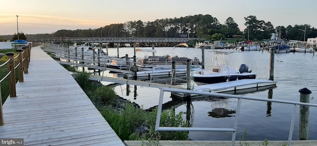 dock area featuring a water view