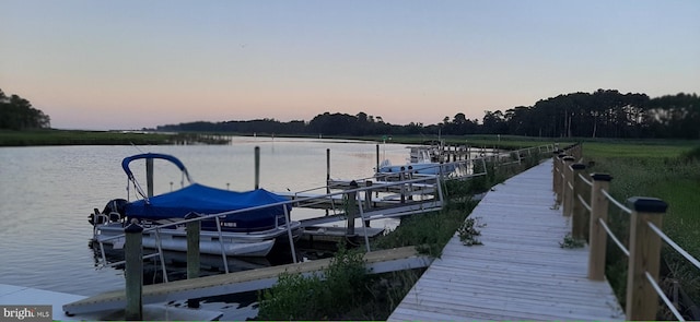 dock area with a water view