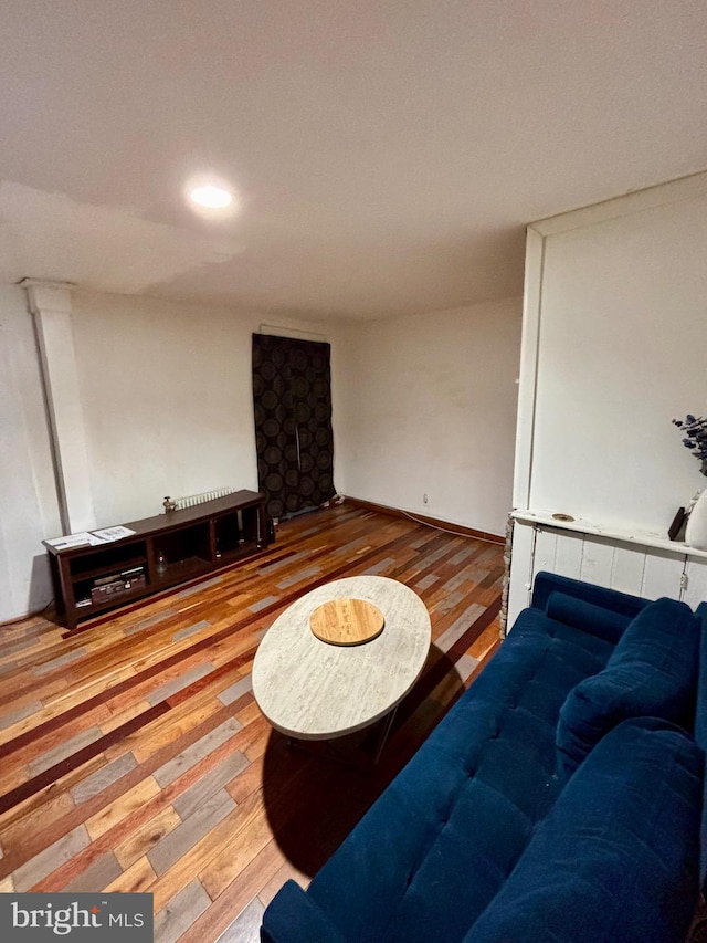 living room featuring wood-type flooring