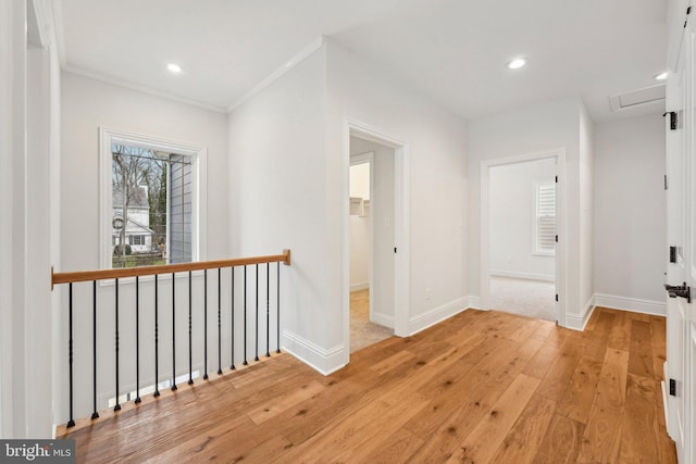 hallway with light hardwood / wood-style flooring and ornamental molding