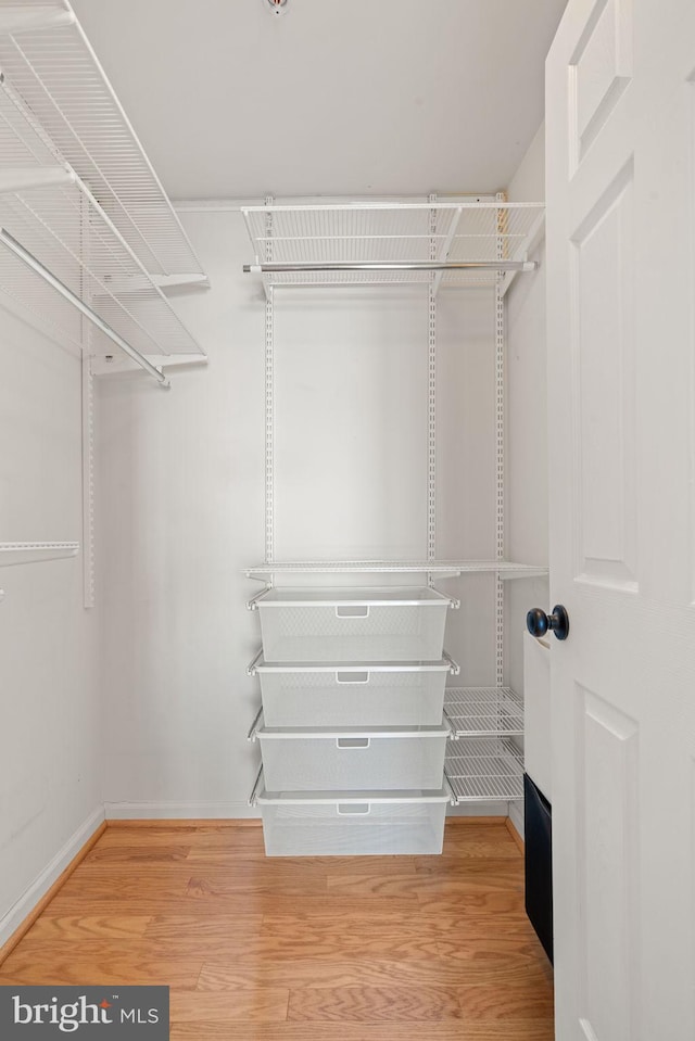 spacious closet with wood-type flooring